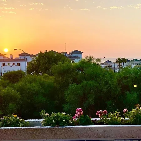 Sweet Torreblanca La Mata Apartman *