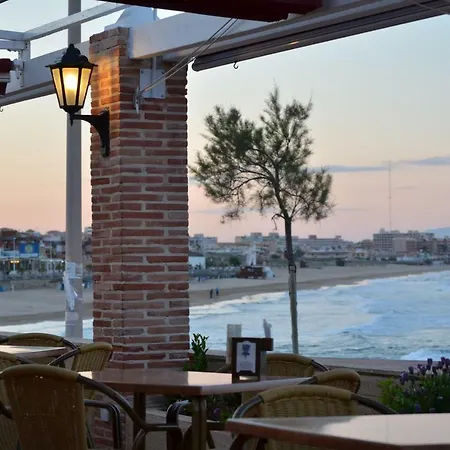 Sweet Torreblanca La Mata Apartman *